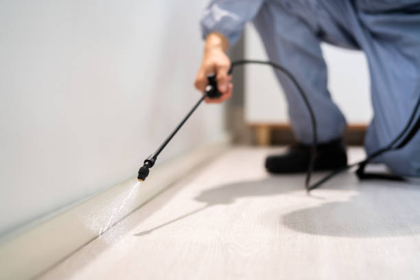 Licensed Pest Control service in Rockdale, IL - Show Me Pest Control